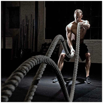 Fitness & Wellness